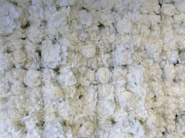 Luxurious Life-like White Rose Wall Backdrop 10 x 8 Ft