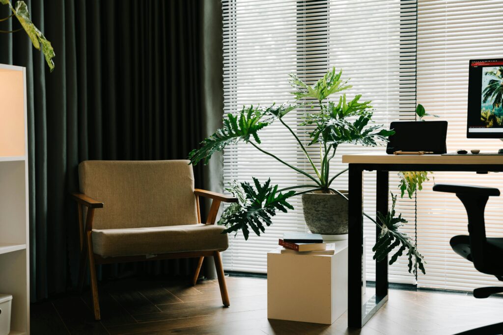 Contemporary office setting with greenery and natural light.